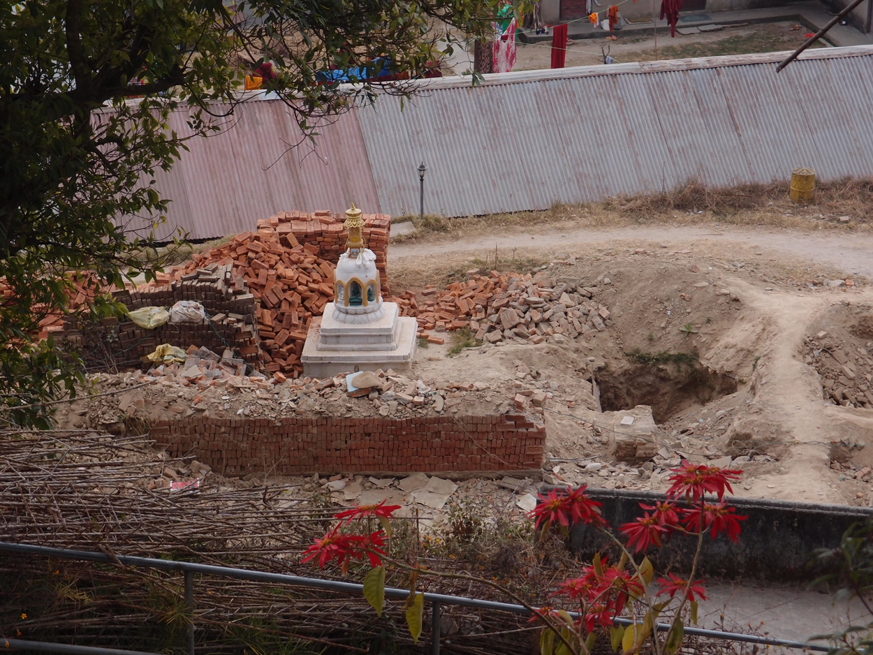 2018-01-16 12 Uhr - Im Shivapuri Nagarjun National Park (Nagi Gumba) (Foto) 